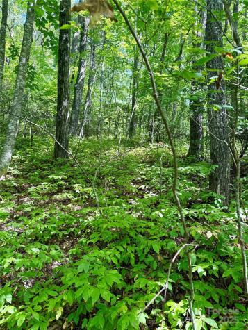 115 Black Oak Drive Sapphire NC 28774