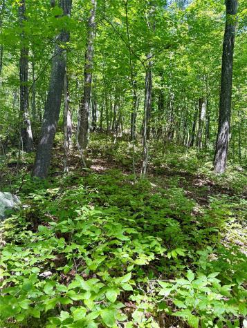 115 Black Oak Drive Sapphire NC 28774