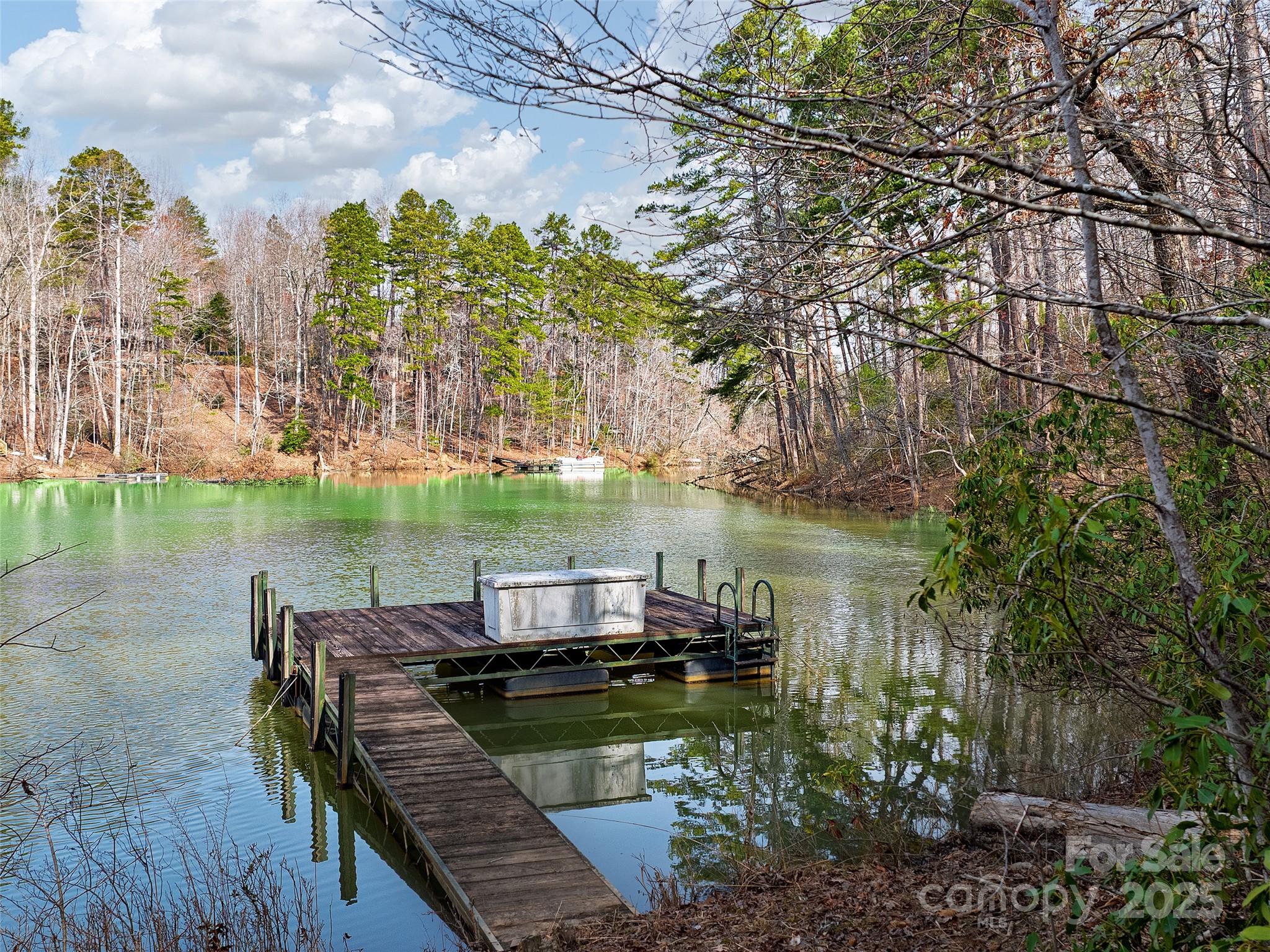 Lot 27 South Cove Road Mill Spring NC 28756