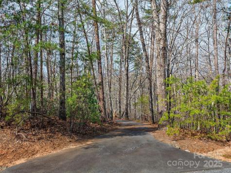 Lot 27 South Cove Road Mill Spring NC 28756