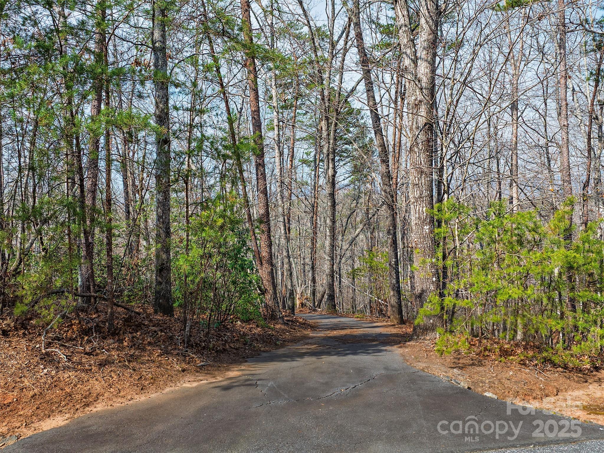 Lot 27 South Cove Road Mill Spring NC 28756