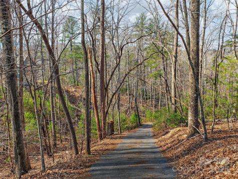 Lot 27 South Cove Road Mill Spring NC 28756