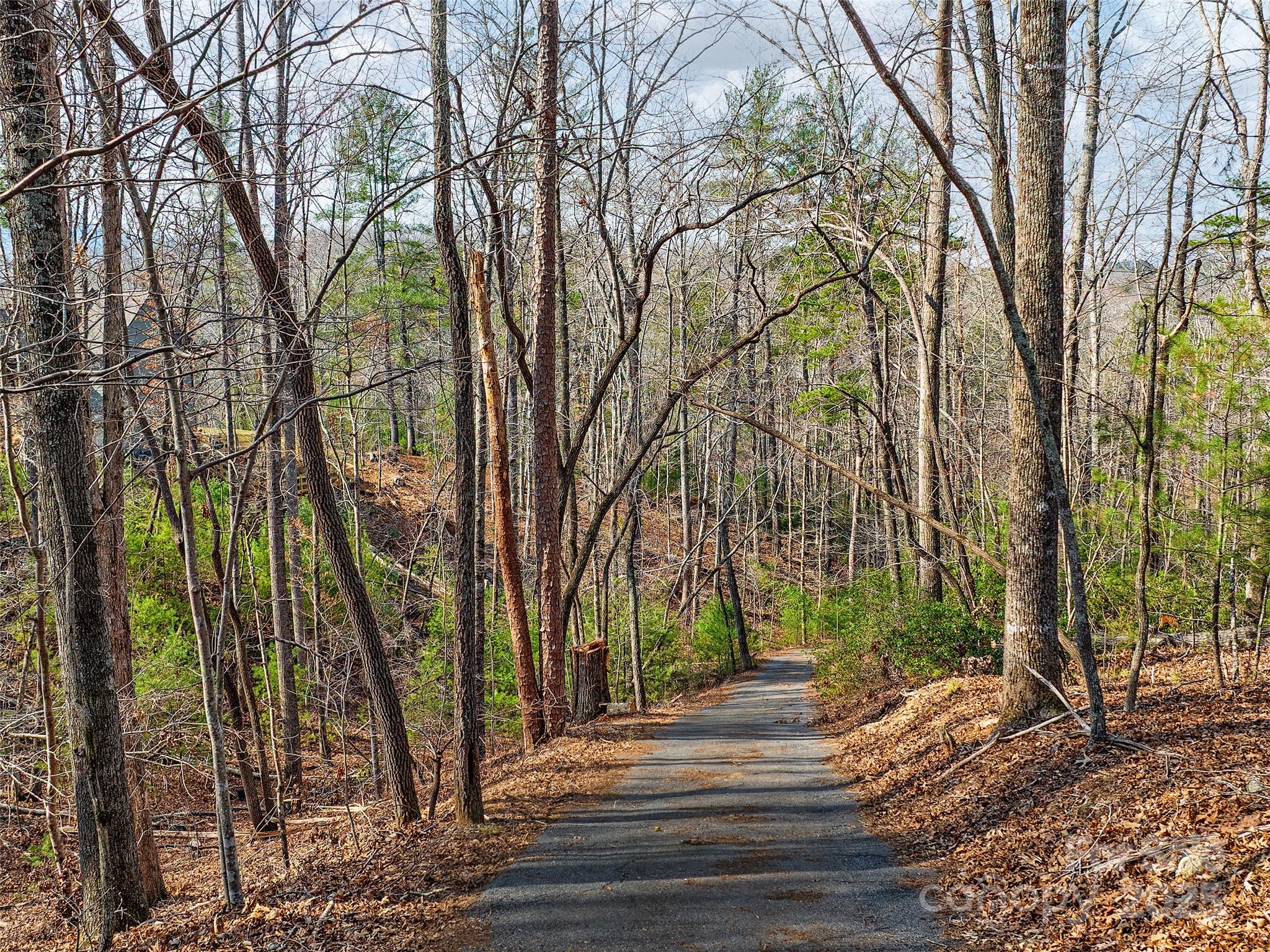 Lot 27 South Cove Road Mill Spring NC 28756