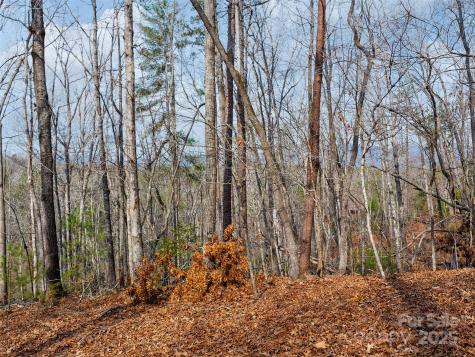 Lot 27 South Cove Road Mill Spring NC 28756