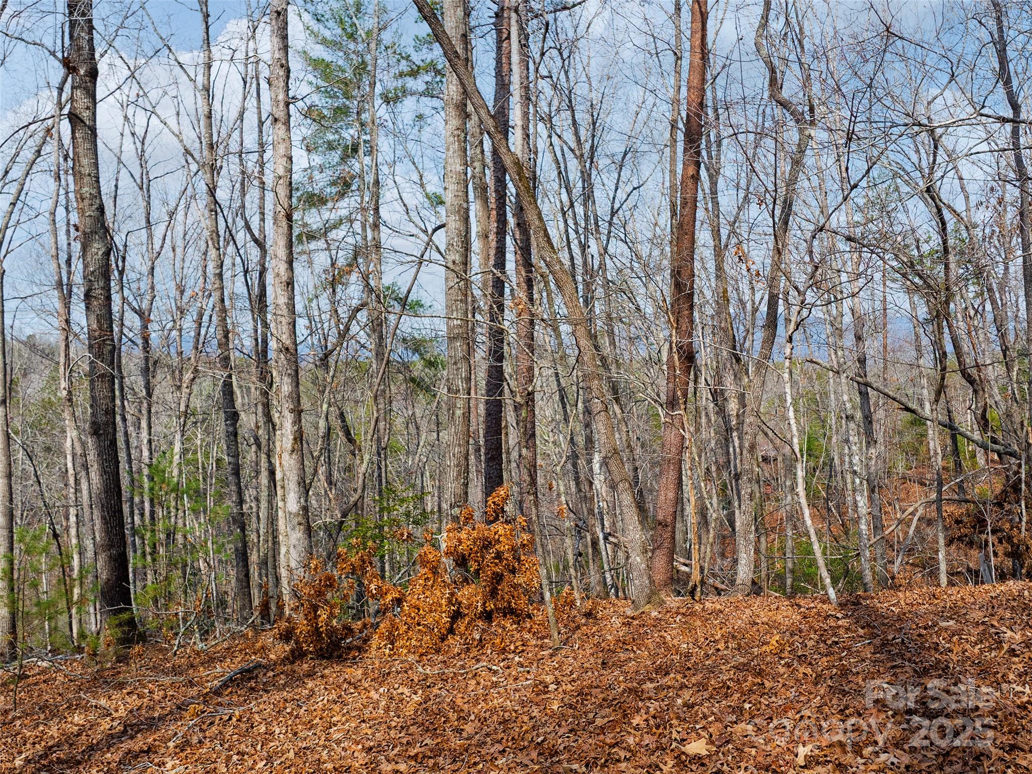 Lot 27 South Cove Road Mill Spring NC 28756