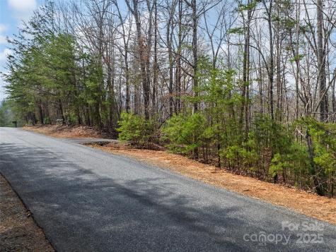 Lot 27 South Cove Road Mill Spring NC 28756