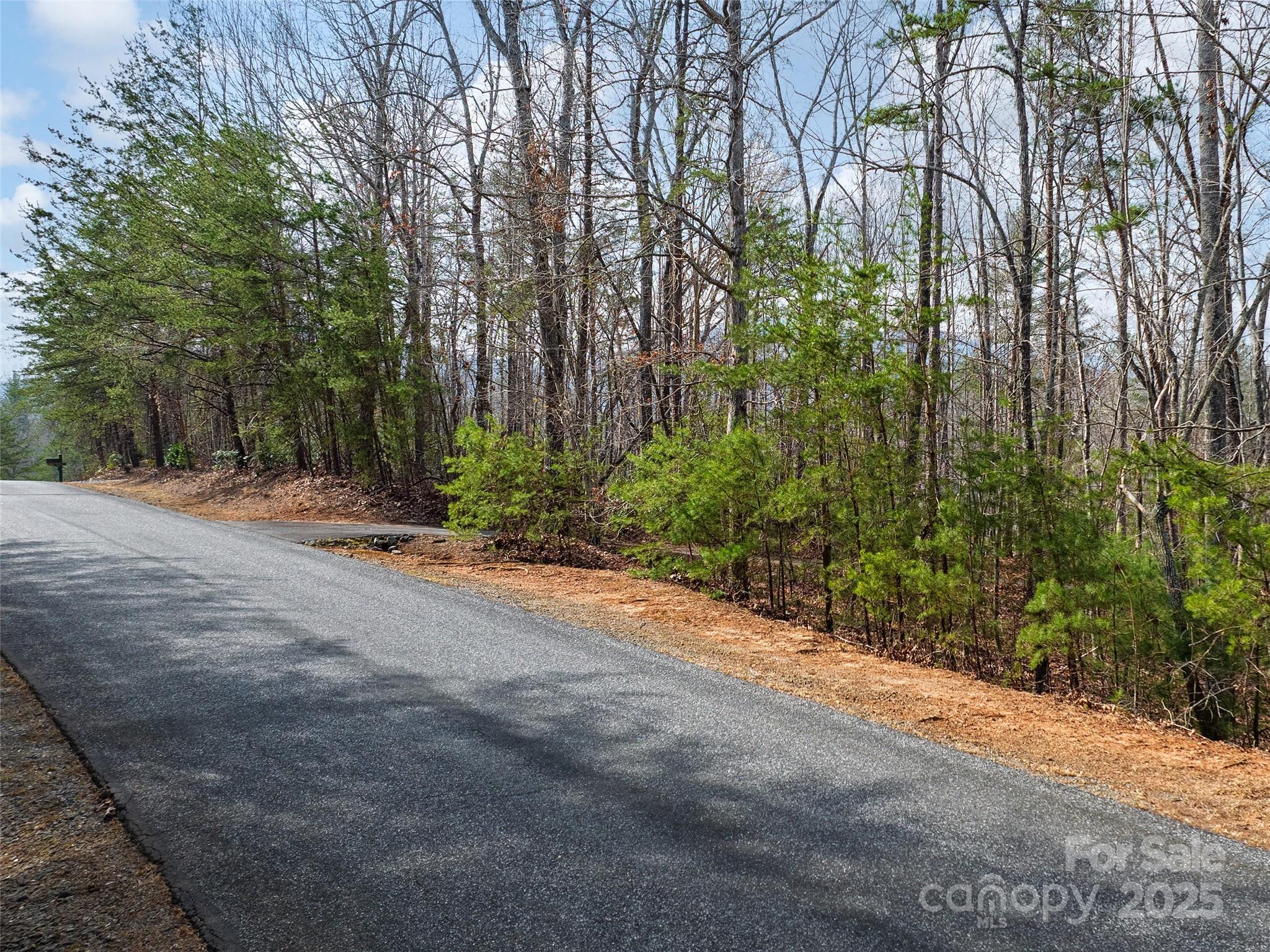 Lot 27 South Cove Road Mill Spring NC 28756