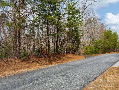 Lot 27 South Cove Road Mill Spring NC 28756