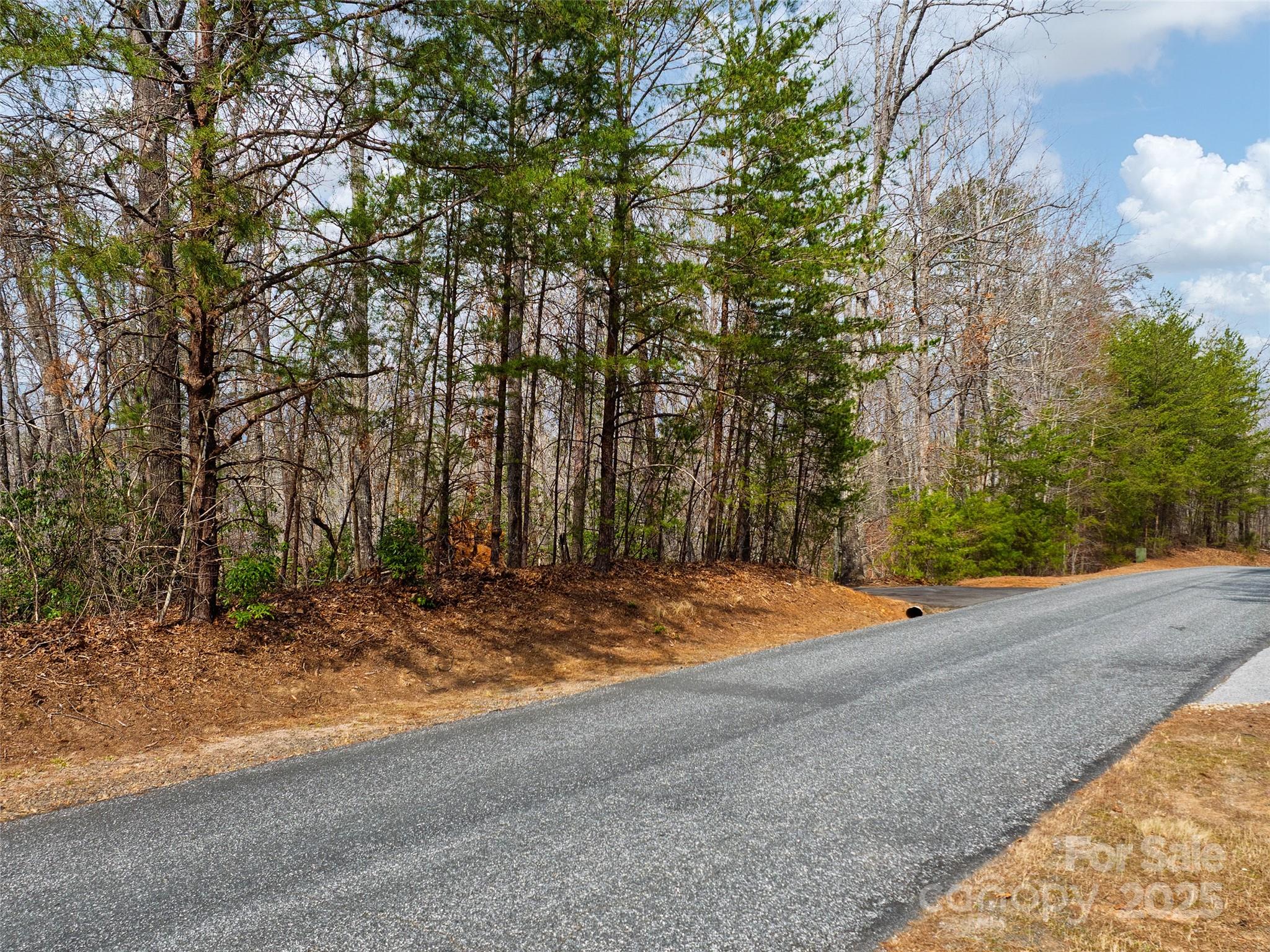 Lot 27 South Cove Road Mill Spring NC 28756