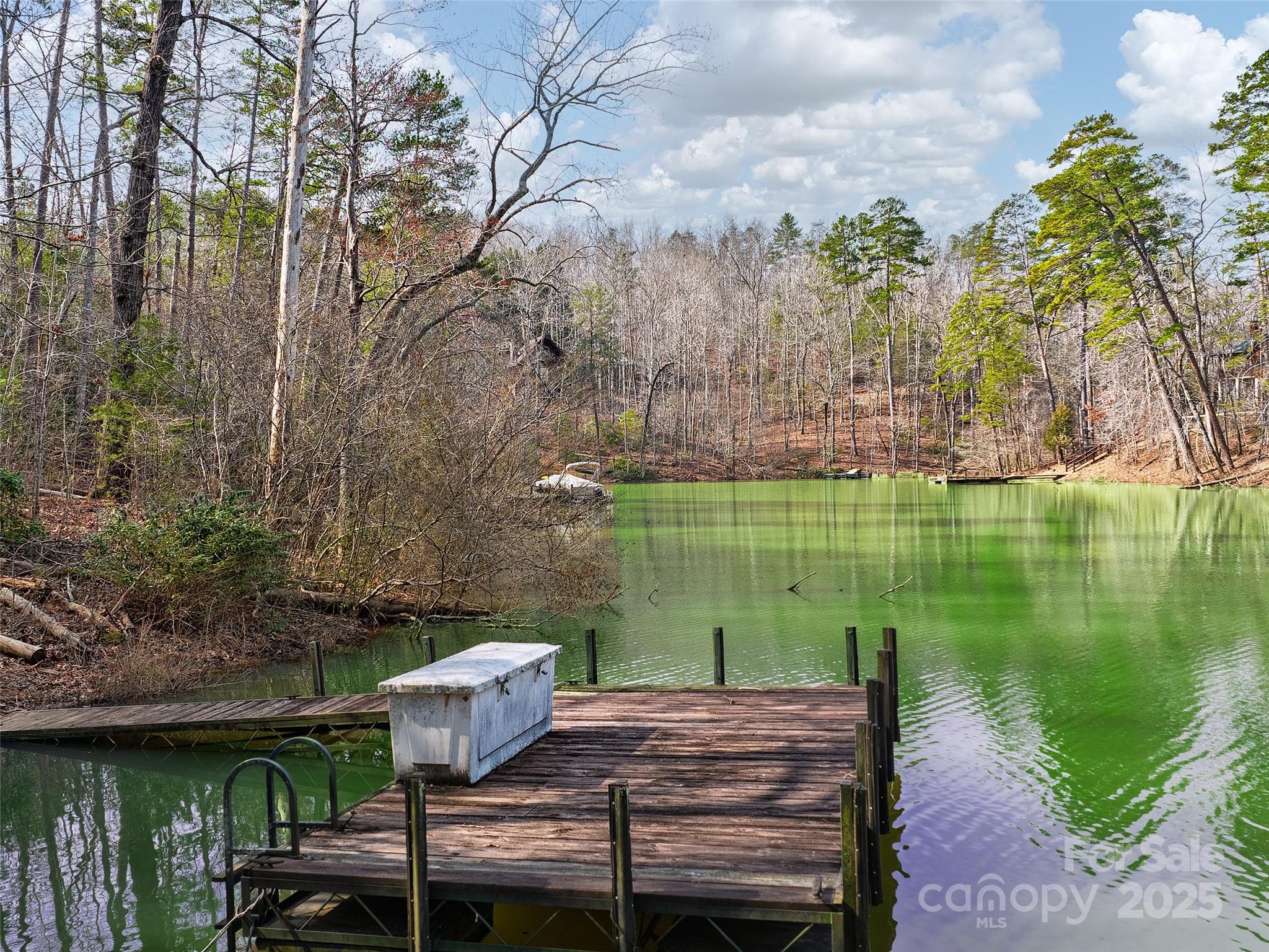 Lot 27 South Cove Road Mill Spring NC 28756