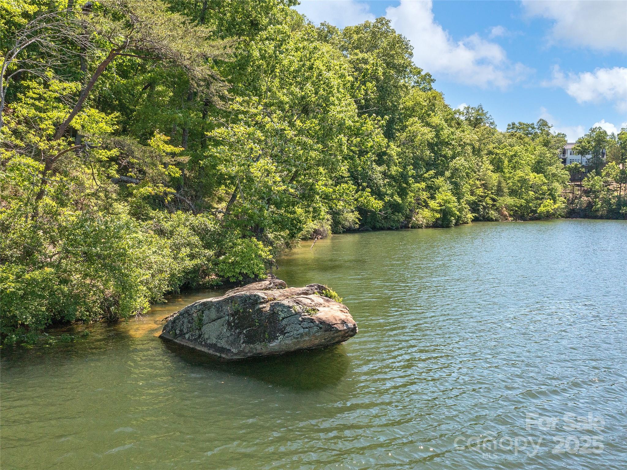 Lot 27 South Cove Road Mill Spring NC 28756