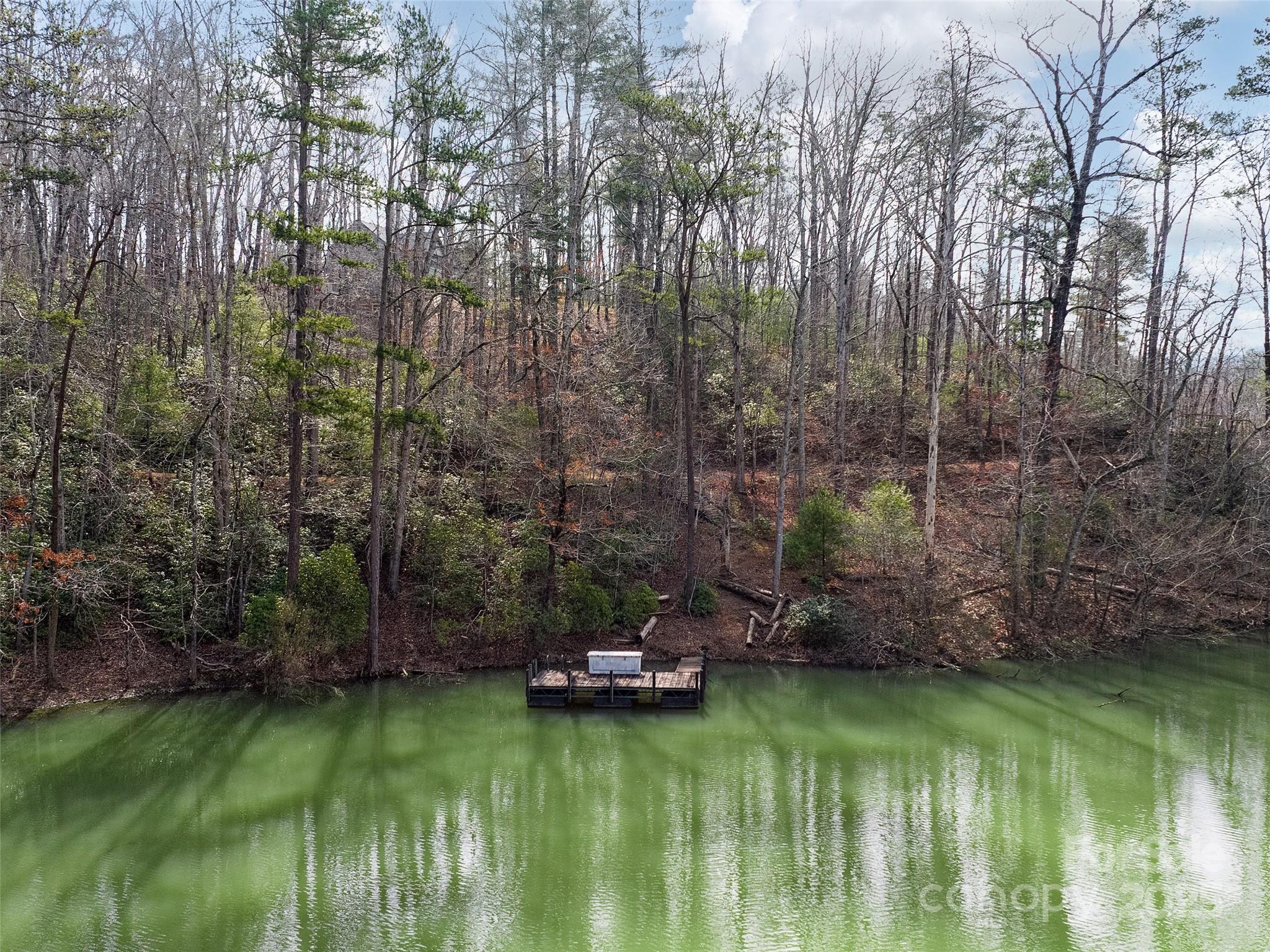 Lot 27 South Cove Road Mill Spring NC 28756