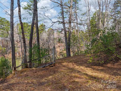 Lot 27 South Cove Road Mill Spring NC 28756