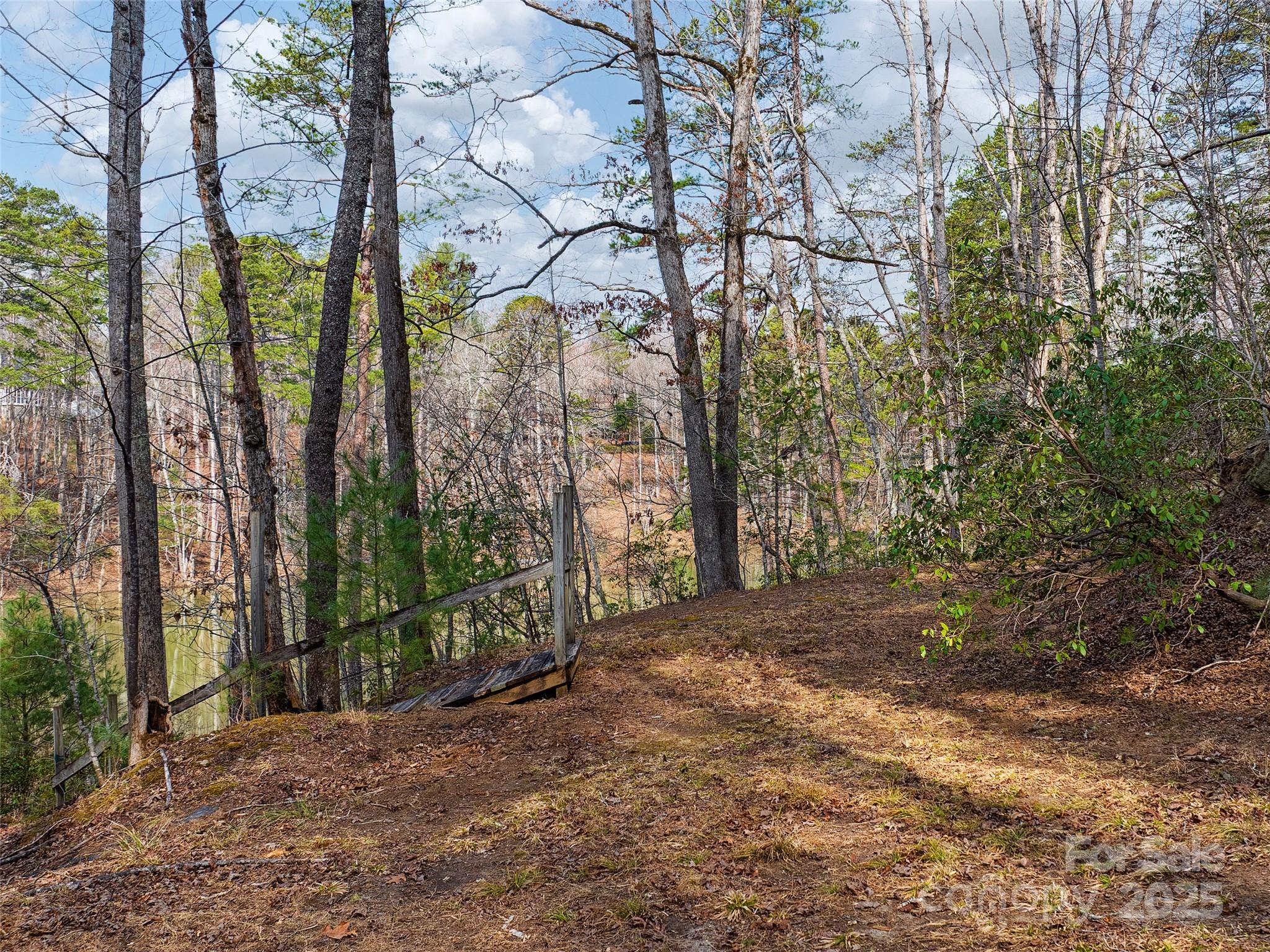 Lot 27 South Cove Road Mill Spring NC 28756