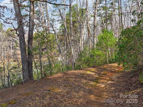 Lot 27 South Cove Road Mill Spring NC 28756