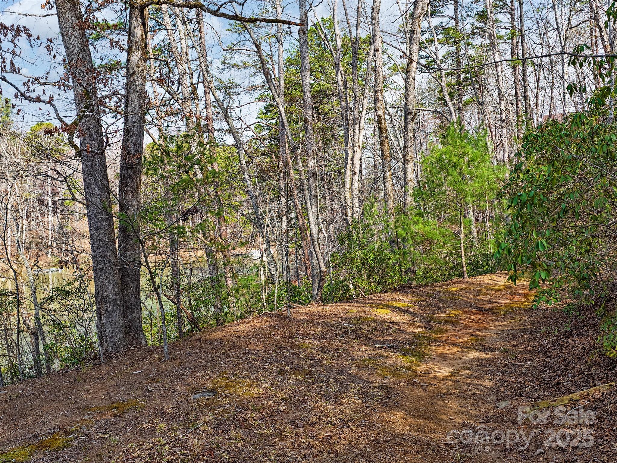 Lot 27 South Cove Road Mill Spring NC 28756