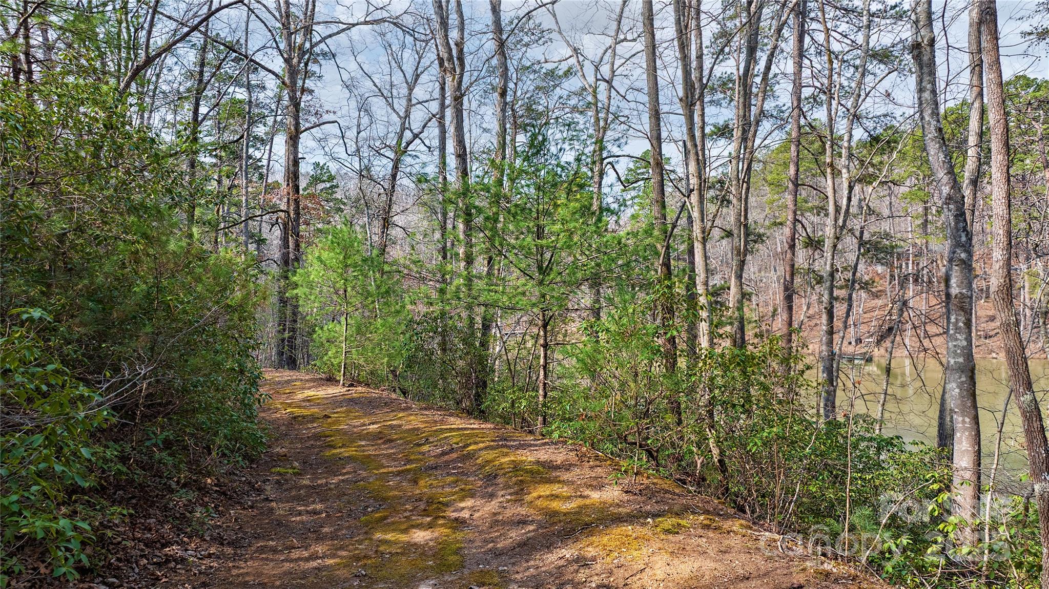 Lot 27 South Cove Road Mill Spring NC 28756