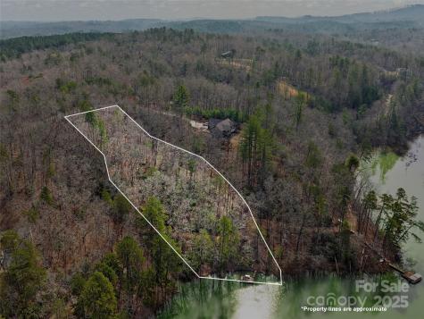 Lot 27 South Cove Road Mill Spring NC 28756