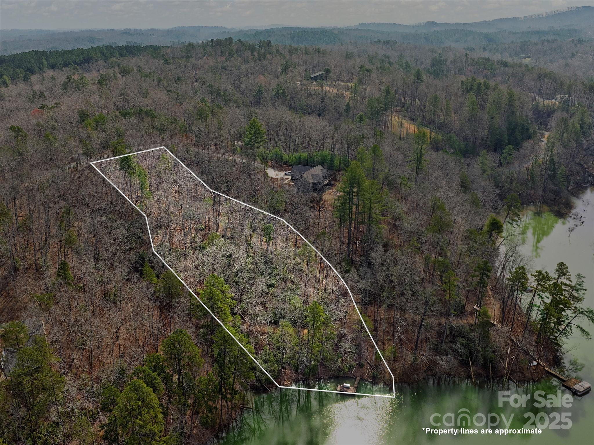 Lot 27 South Cove Road Mill Spring NC 28756