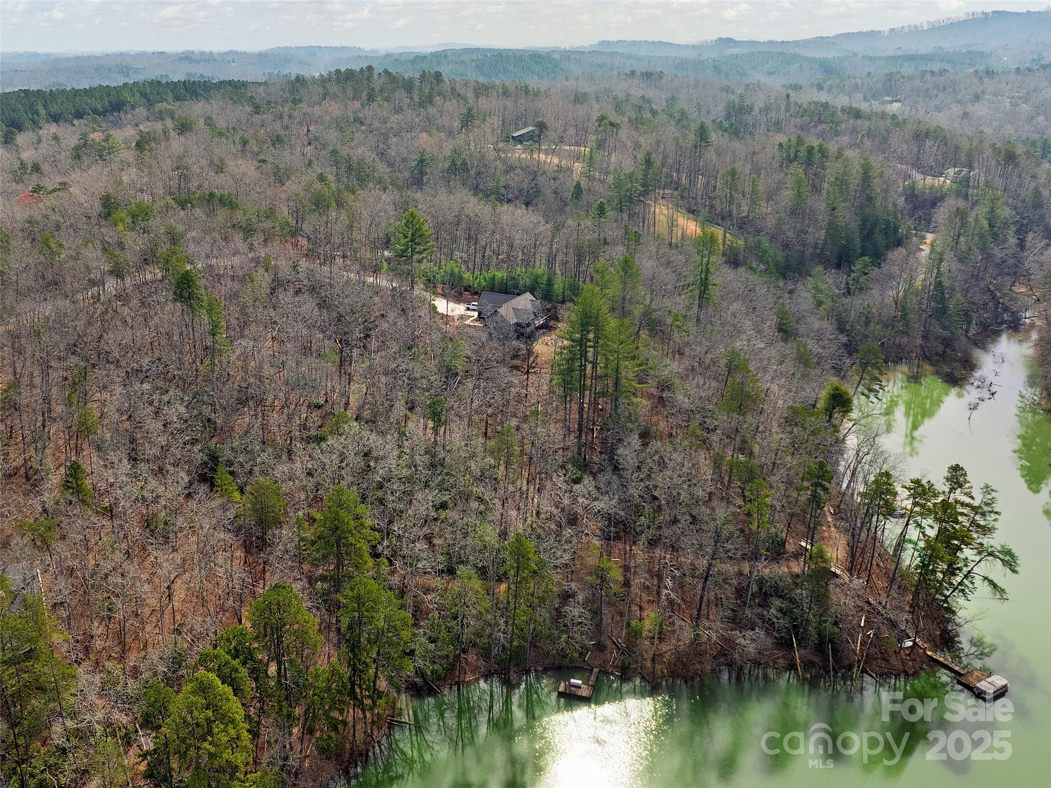 Lot 27 South Cove Road Mill Spring NC 28756