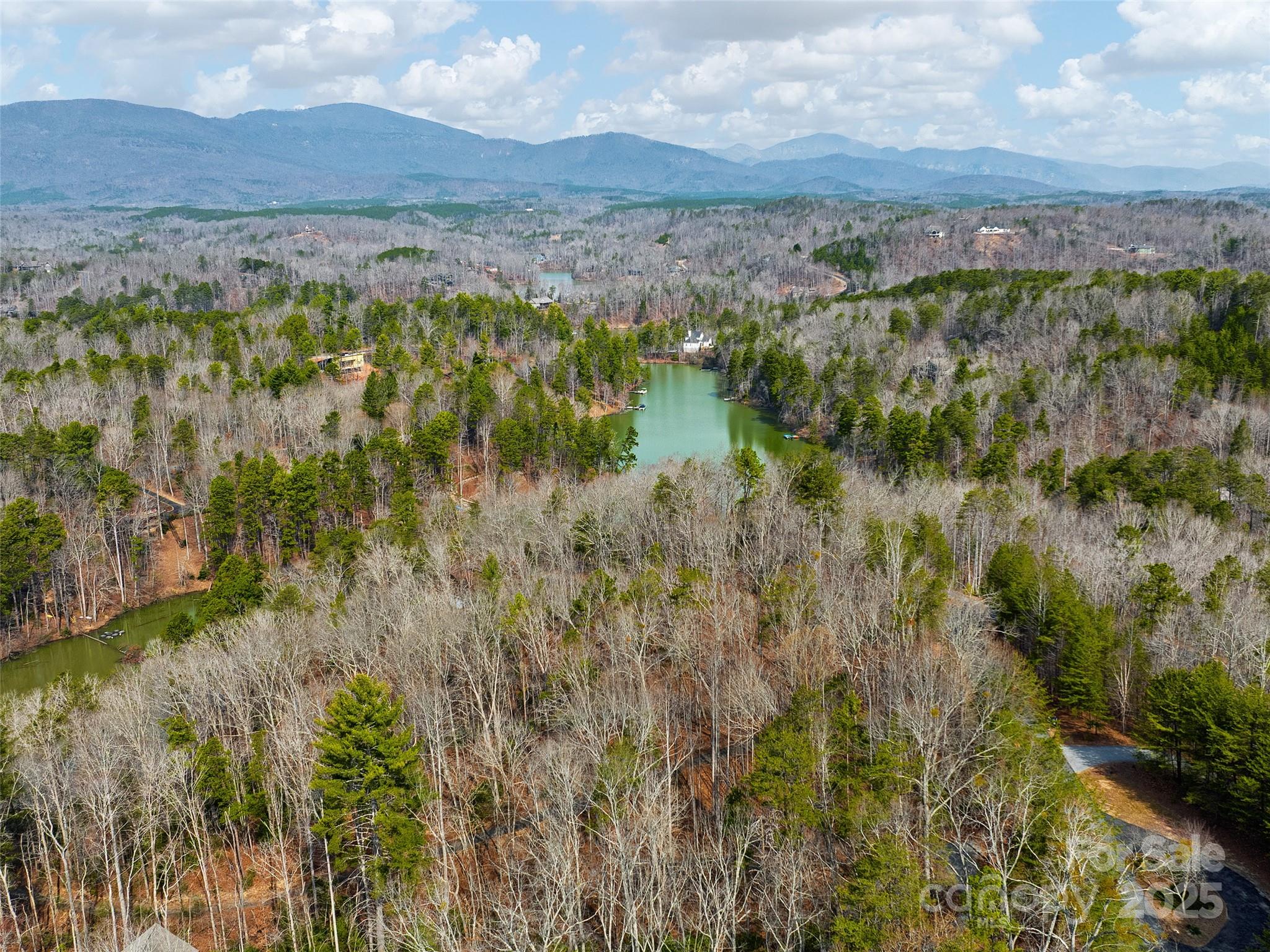Lot 27 South Cove Road Mill Spring NC 28756