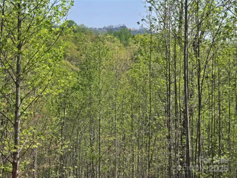 Lot 17 Touch Me Not Trail Lake Lure NC 28746