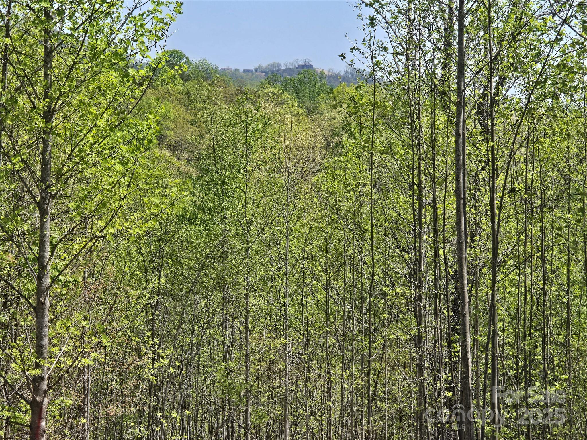 Lot 17 Touch Me Not Trail Lake Lure NC 28746