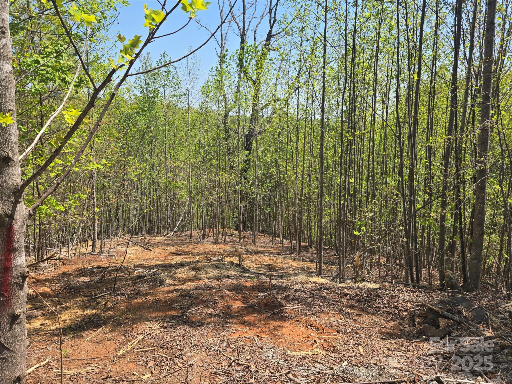 Lot 17 Touch Me Not Trail Lake Lure NC 28746