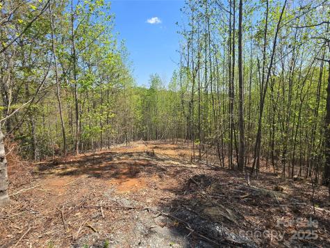 Lot 17 Touch Me Not Trail Lake Lure NC 28746