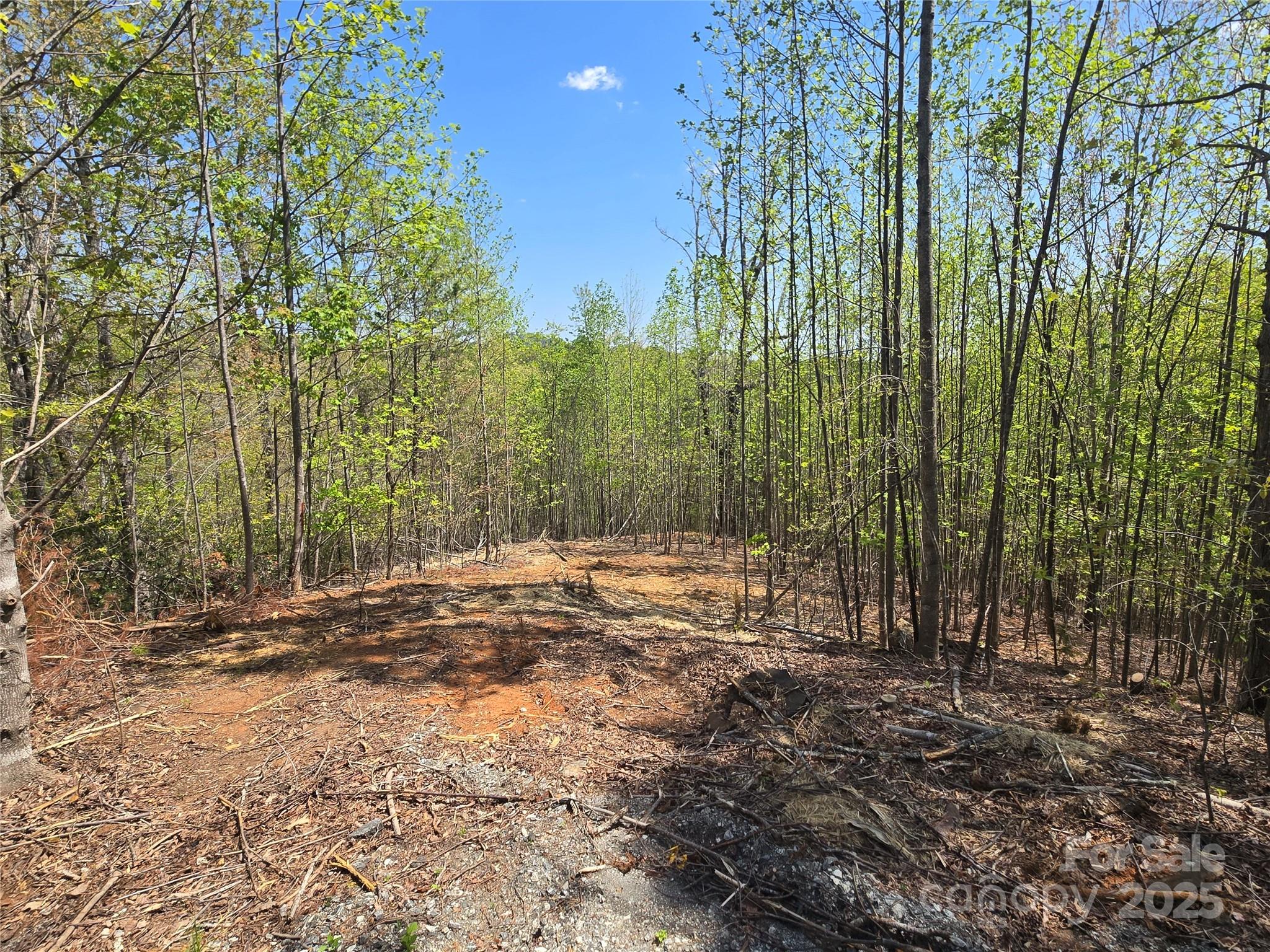 Lot 17 Touch Me Not Trail Lake Lure NC 28746