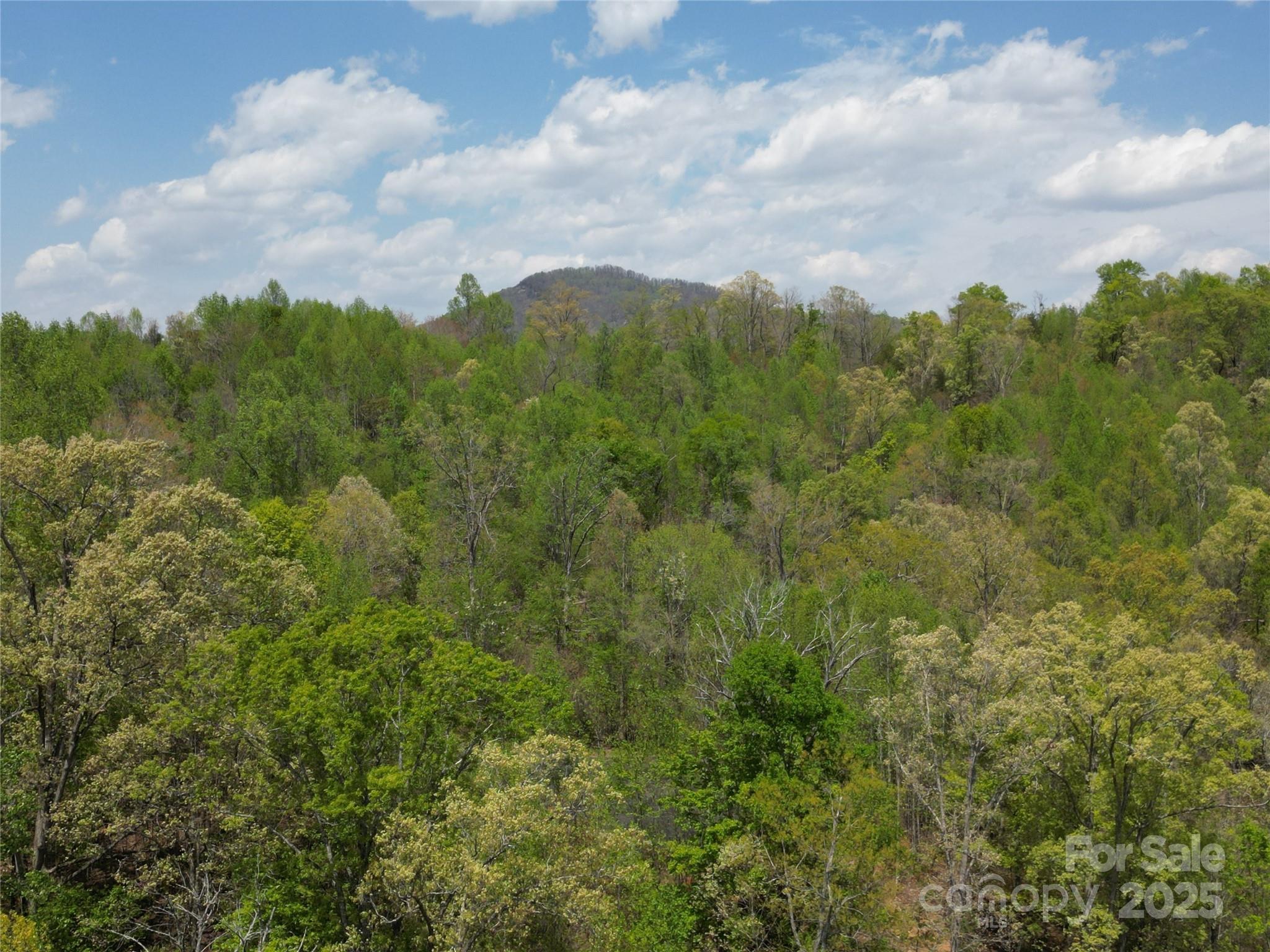 Lot 17 Touch Me Not Trail Lake Lure NC 28746