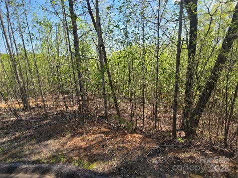 Lot 17 Touch Me Not Trail Lake Lure NC 28746