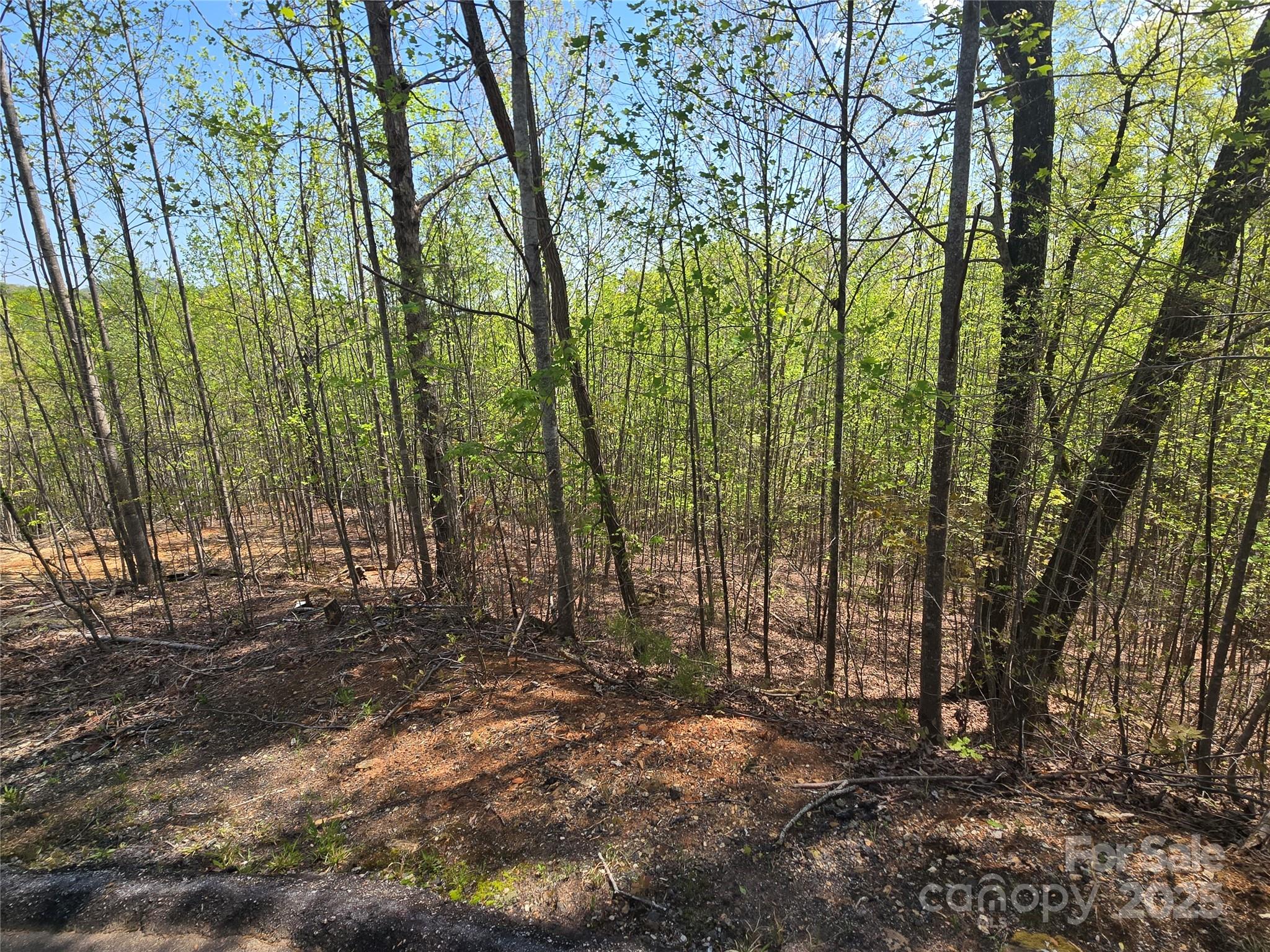 Lot 17 Touch Me Not Trail Lake Lure NC 28746