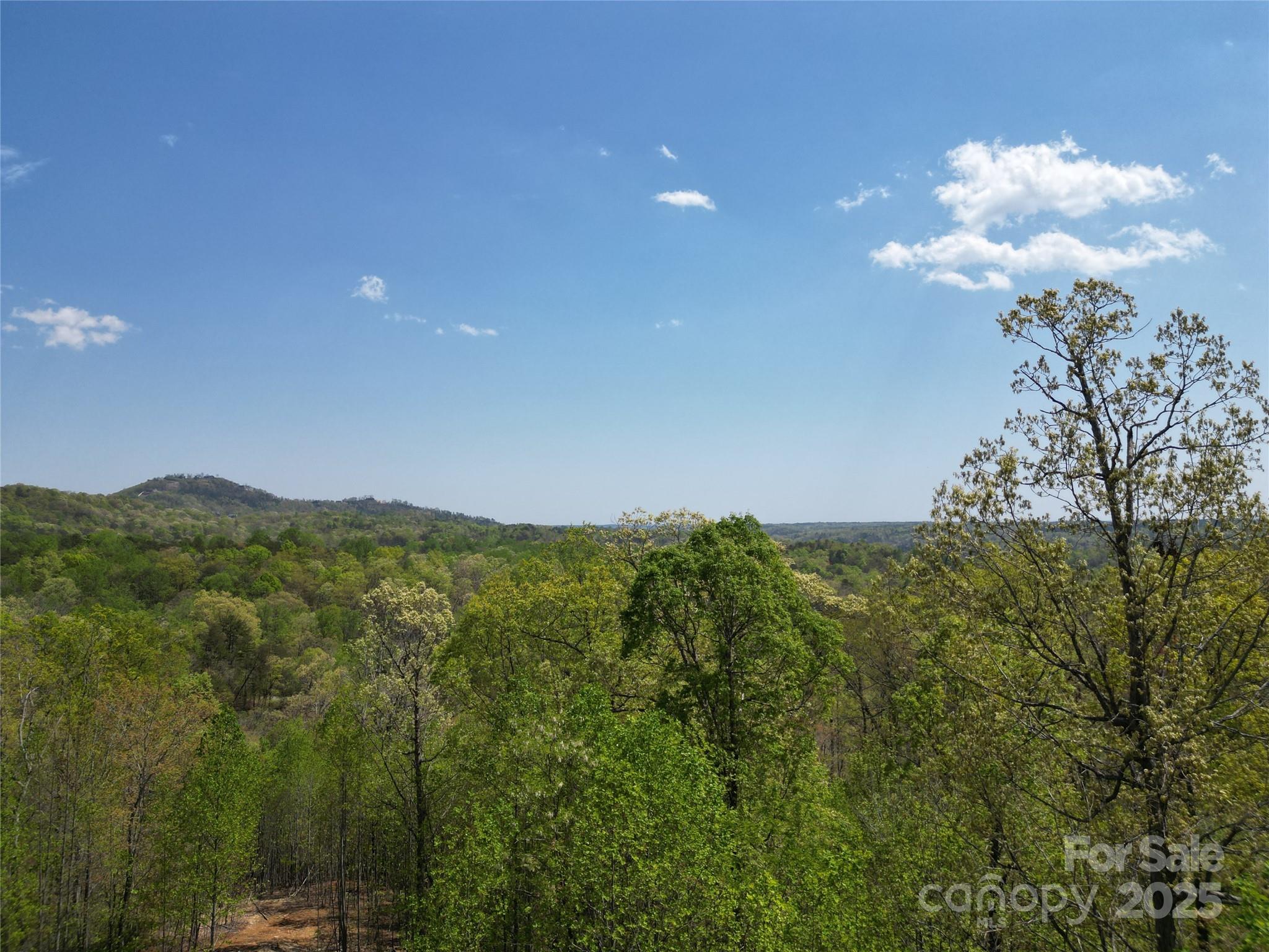 Lot 17 Touch Me Not Trail Lake Lure NC 28746