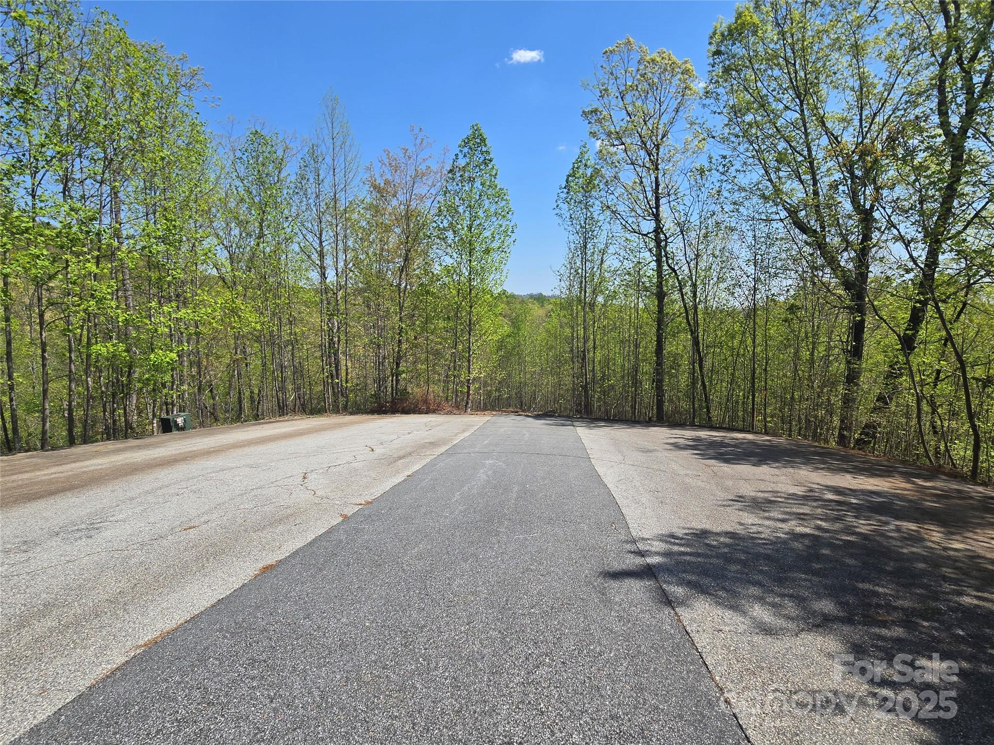 Lot 17 Touch Me Not Trail Lake Lure NC 28746