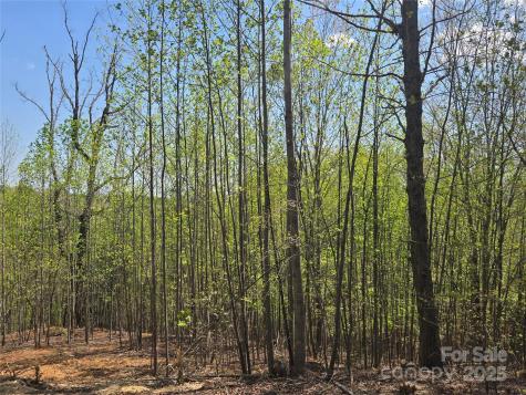 Lot 17 Touch Me Not Trail Lake Lure NC 28746