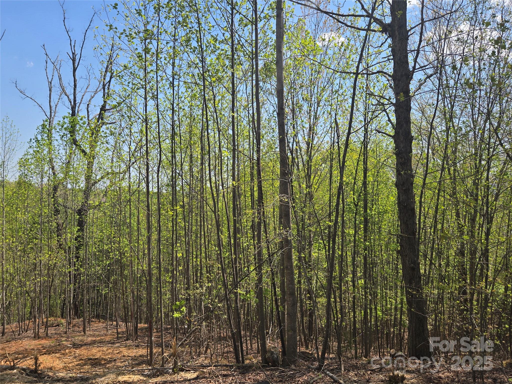Lot 17 Touch Me Not Trail Lake Lure NC 28746