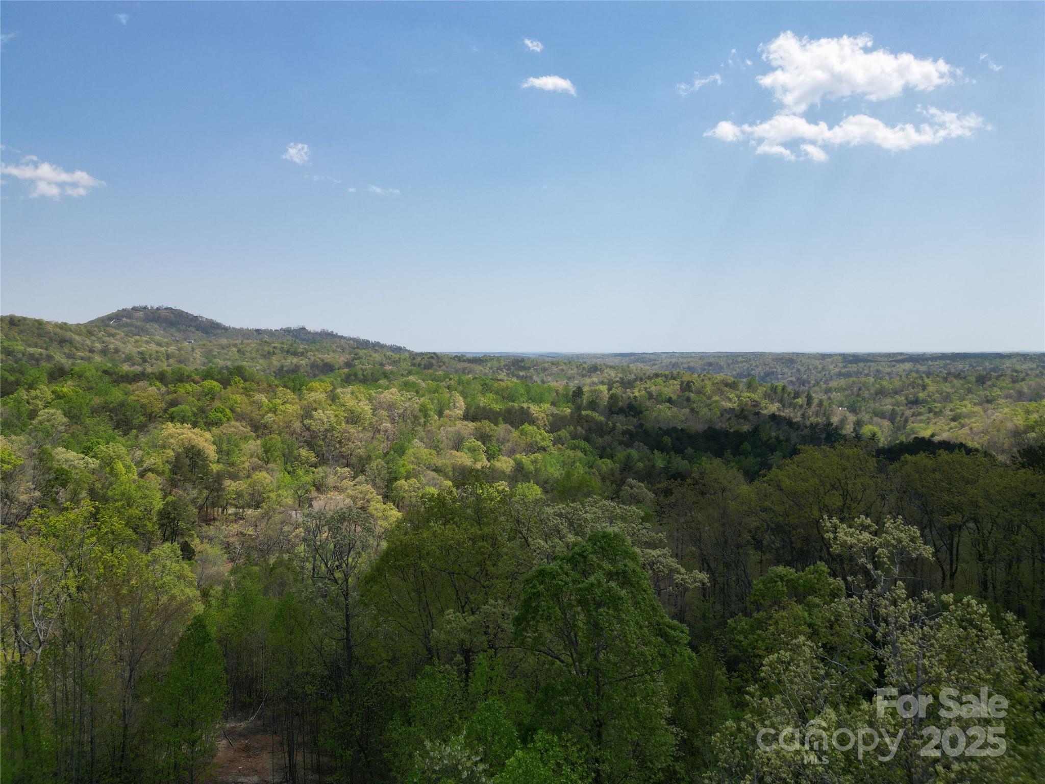 Lot 17 Touch Me Not Trail Lake Lure NC 28746