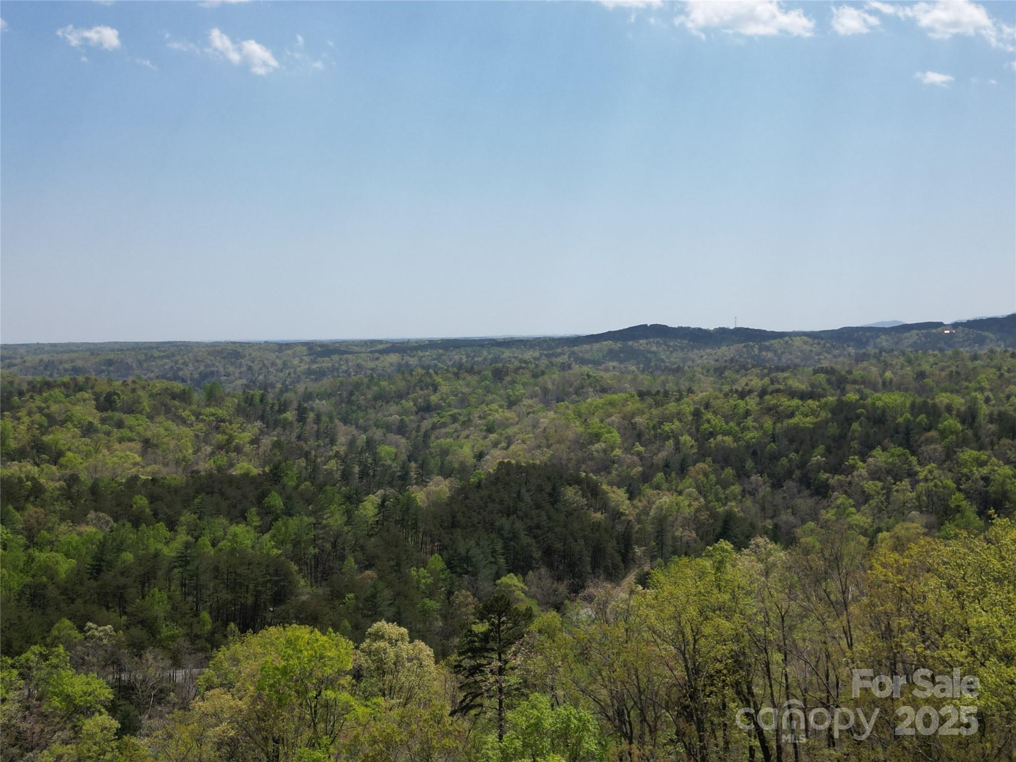 Lot 17 Touch Me Not Trail Lake Lure NC 28746