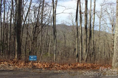 Lot 84 Waterdance Drive Tuckasegee NC 28783