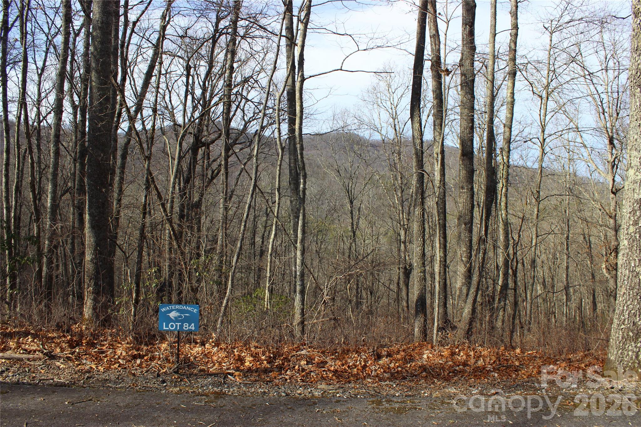 Lot 84 Waterdance Drive Tuckasegee NC 28783