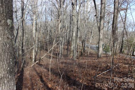 Lot 84 Waterdance Drive Tuckasegee NC 28783