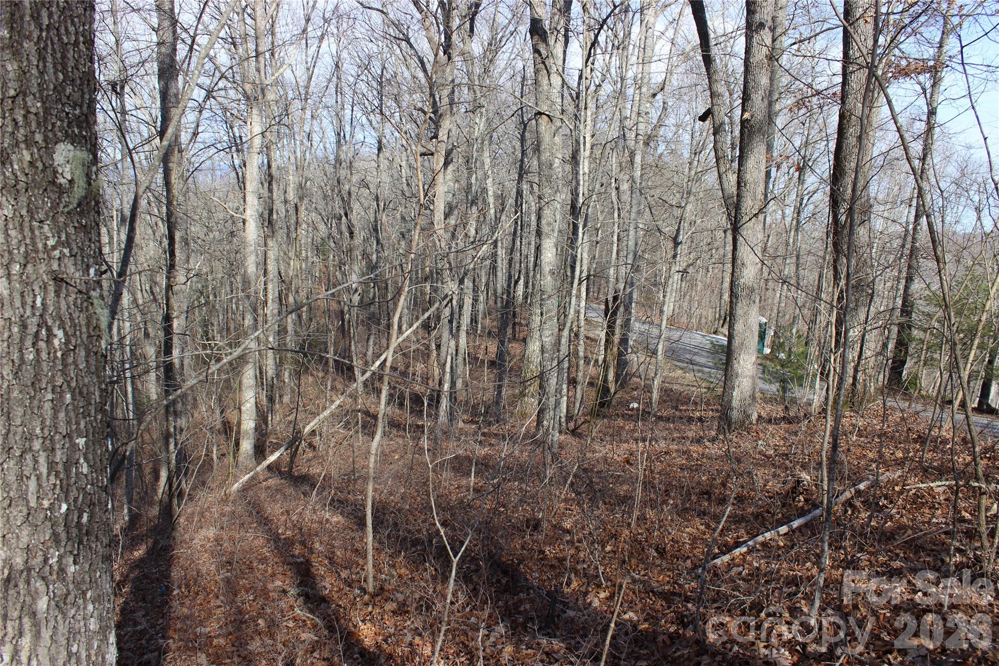 Lot 84 Waterdance Drive Tuckasegee NC 28783