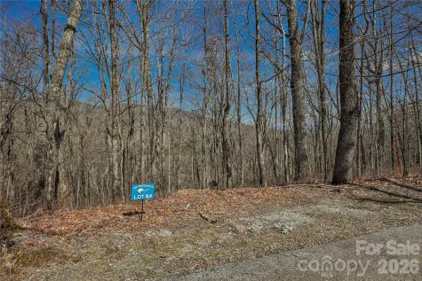 Lot 84 Waterdance Drive Tuckasegee NC 28783