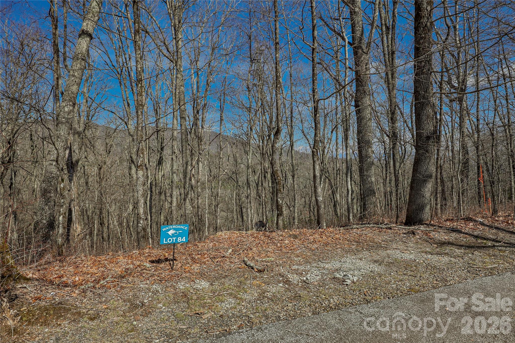 Lot 84 Waterdance Drive Tuckasegee NC 28783