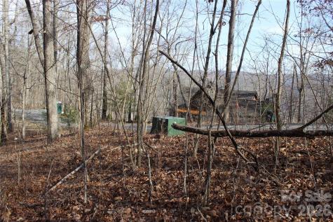 Lot 84 Waterdance Drive Tuckasegee NC 28783