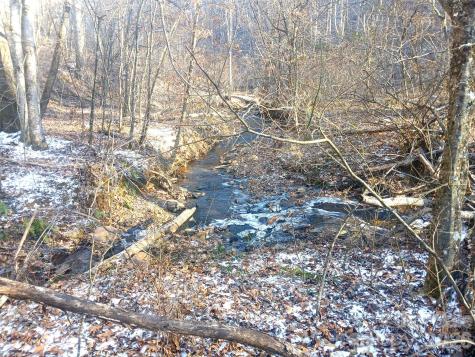 1874 Double Island Road Green Mountain NC 28740