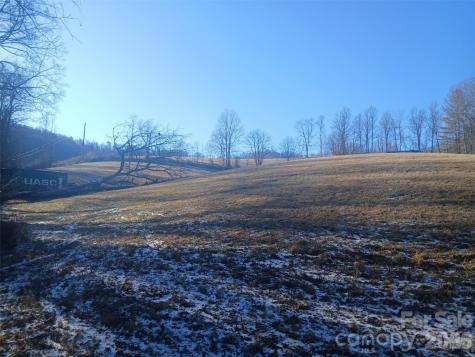 1874 Double Island Road Green Mountain NC 28740