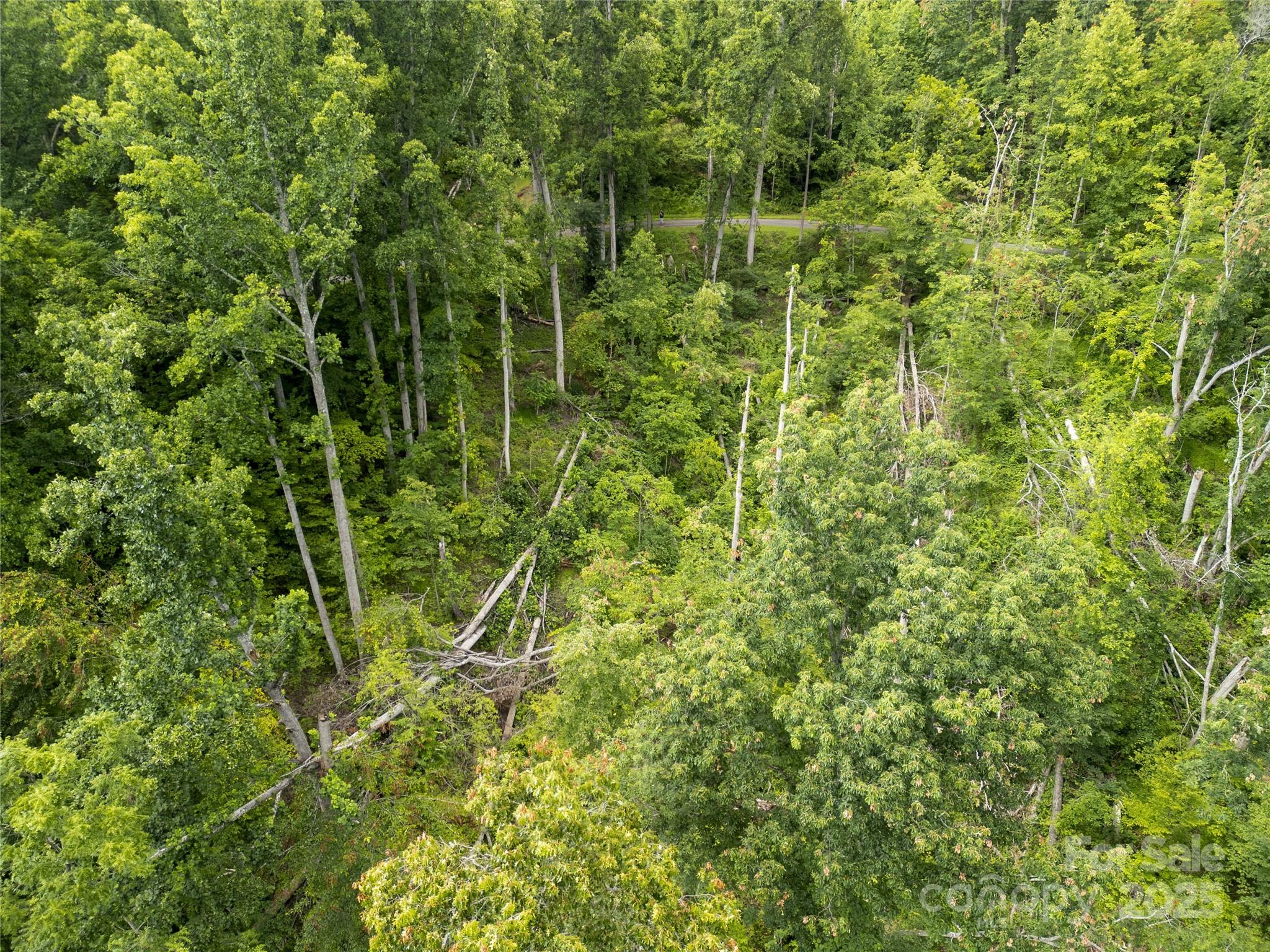 364 Chisel Rock Way Weaverville NC 28787