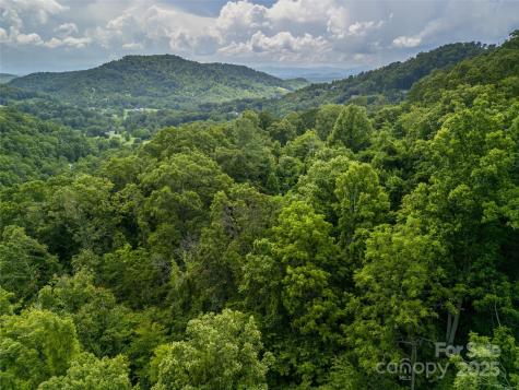 364 Chisel Rock Way Weaverville NC 28787